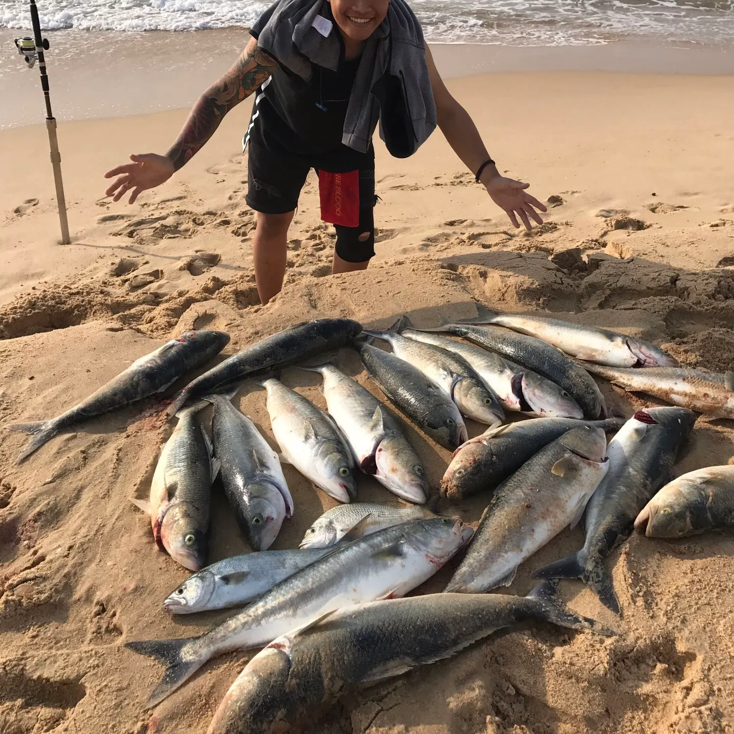 recently logged catches