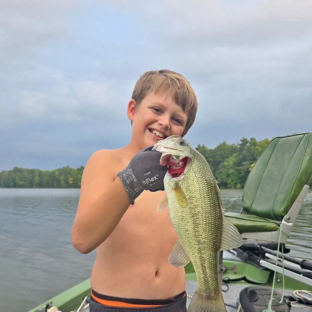 Largemouth bass caught on Fishbrain