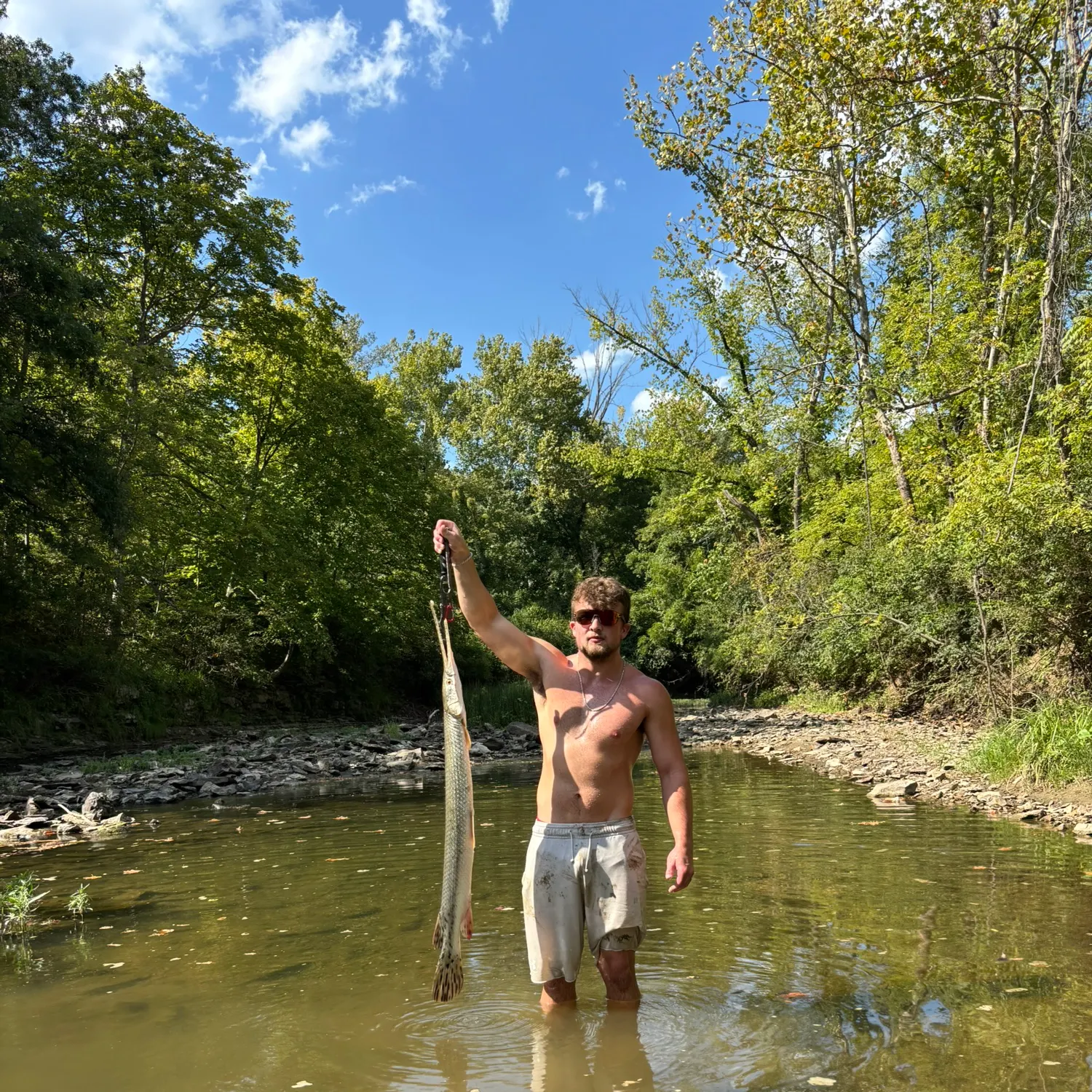 Longnose gar caught on Fishbrain