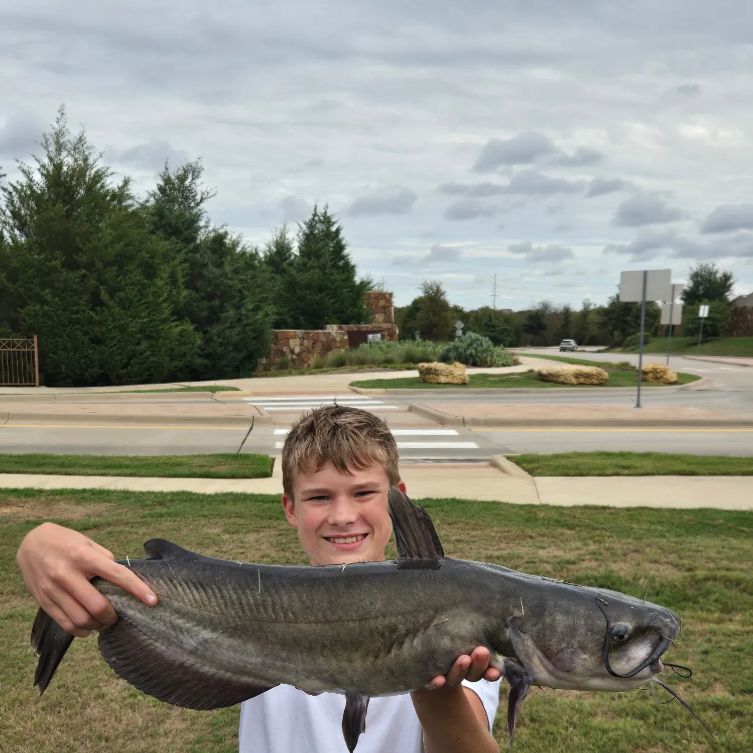 Channel catfish caught on Fishbrain