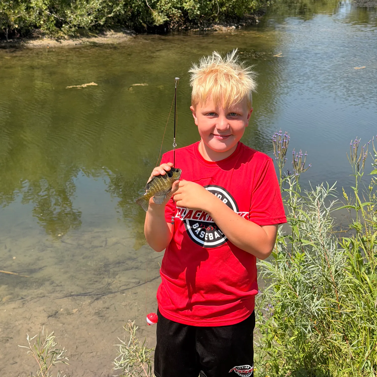 Bluegill caught on Fishbrain