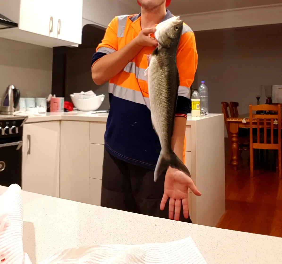 Post image from SJag