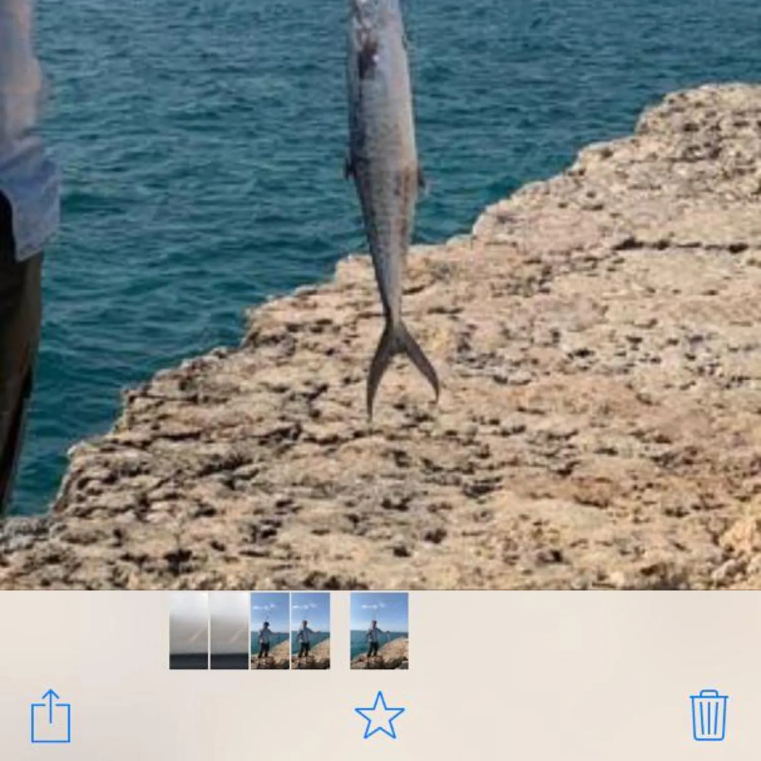 recently logged catches