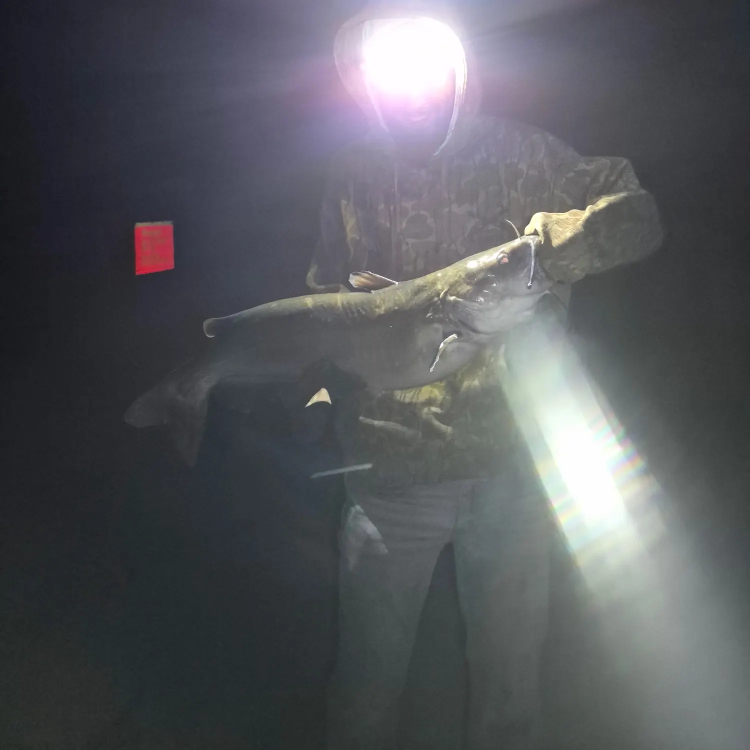 Channel catfish caught on Fishbrain