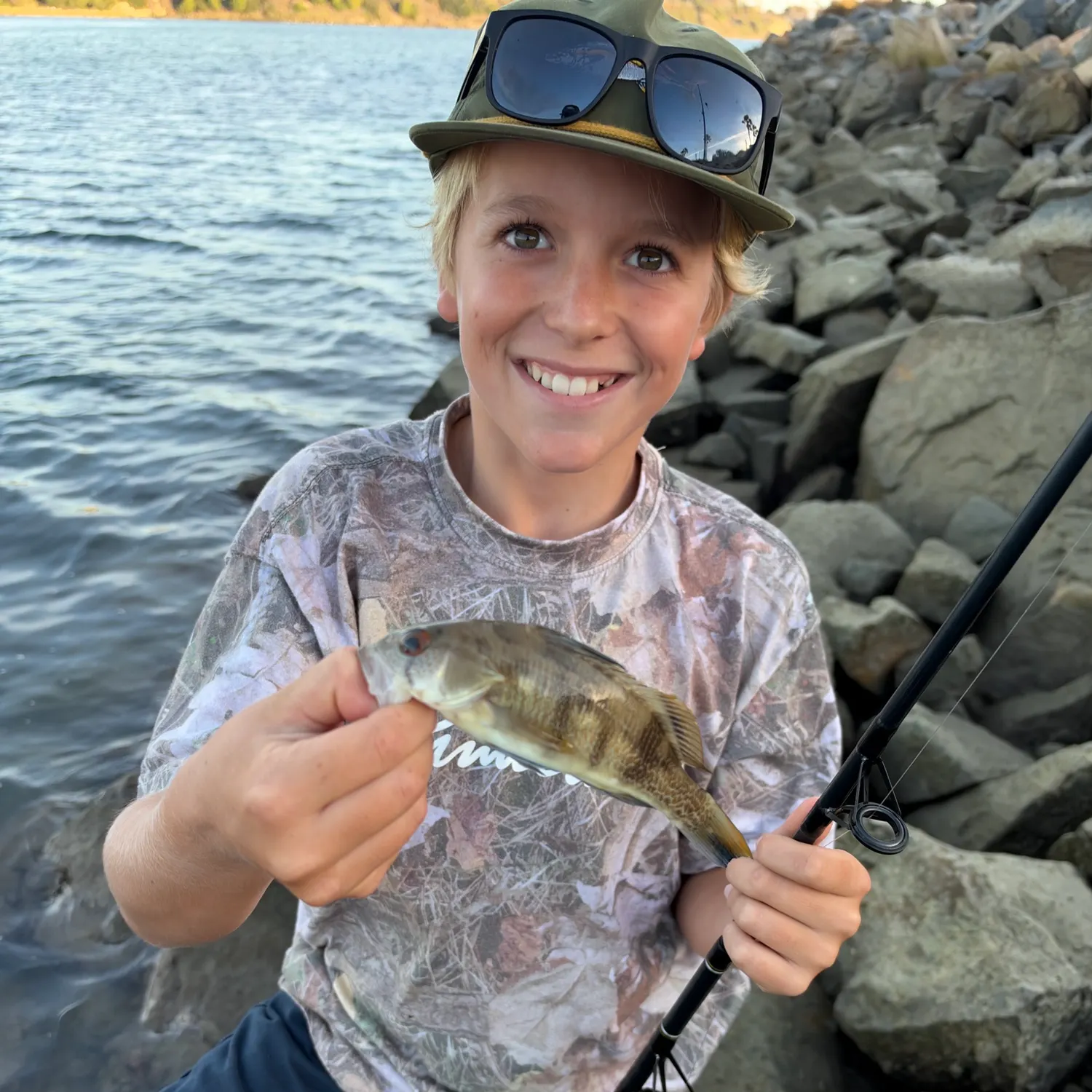 Spotted sand bass caught on Fishbrain