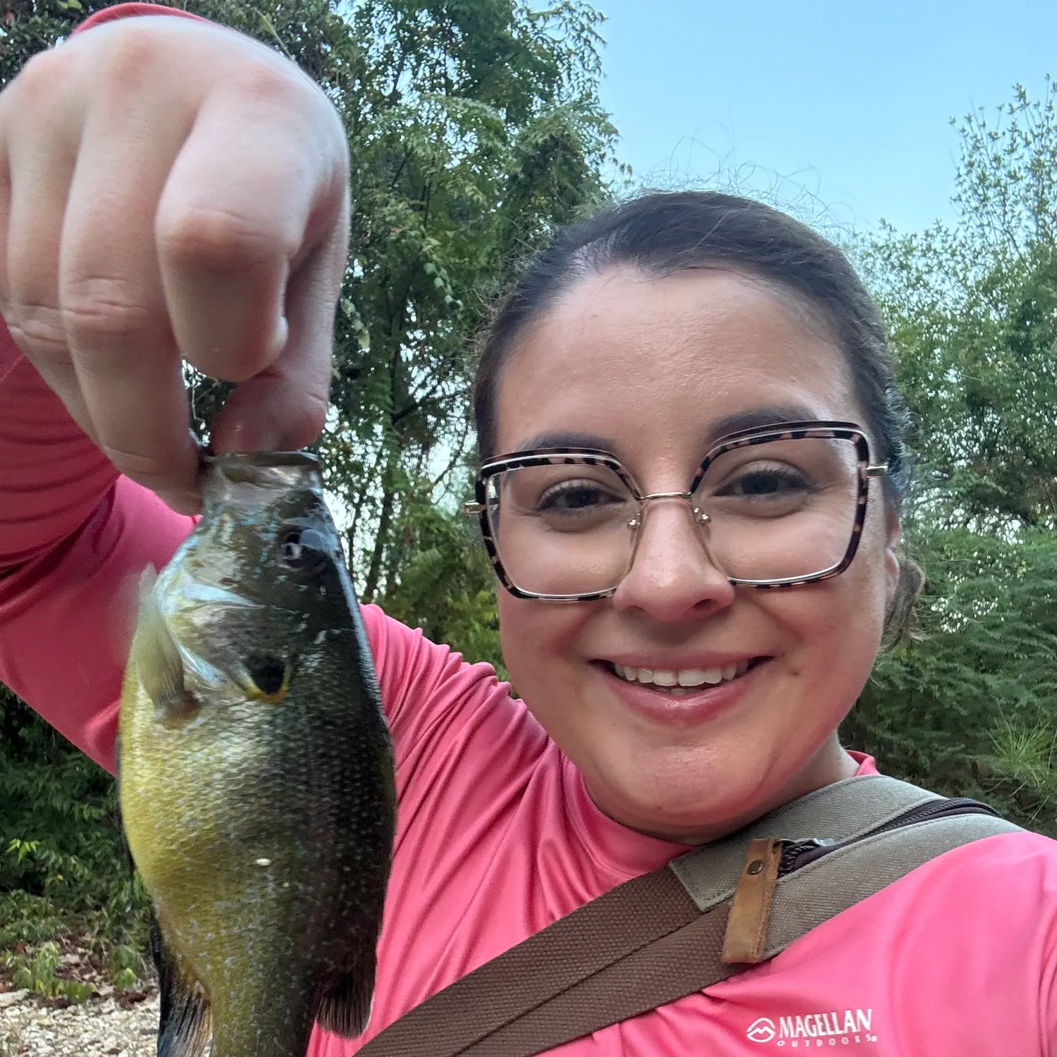 Bluegill caught on Fishbrain