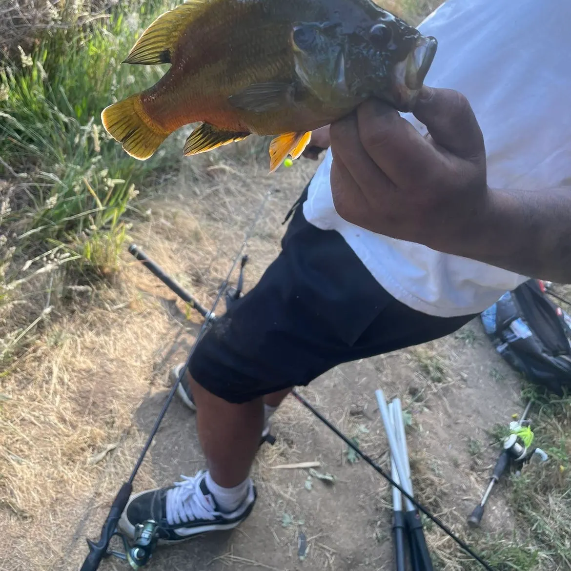 most liked catch image