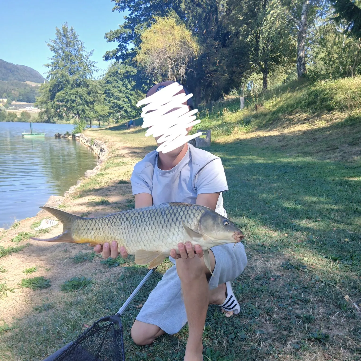 Common carp caught on Fishbrain