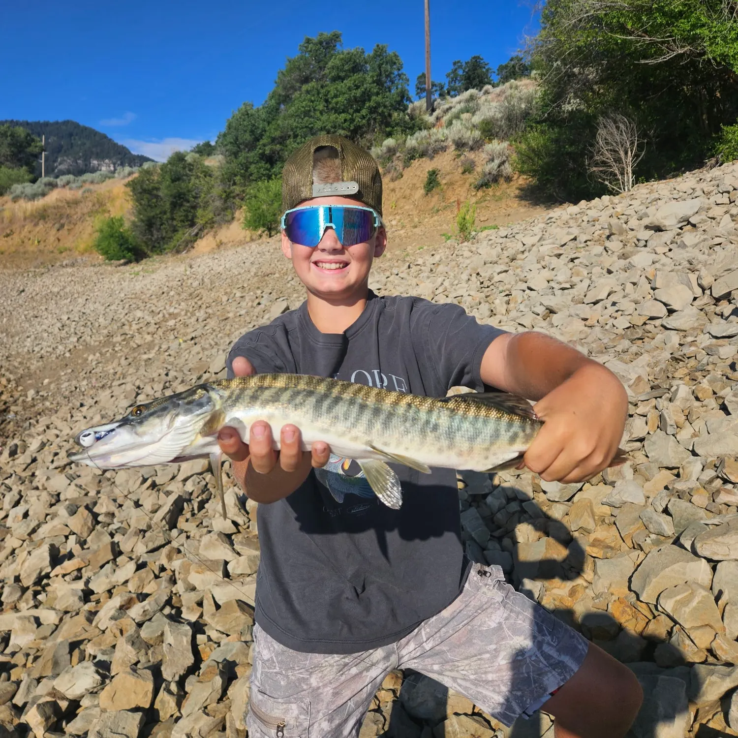 The most recent Tiger muskellunge catches on Fishbrain