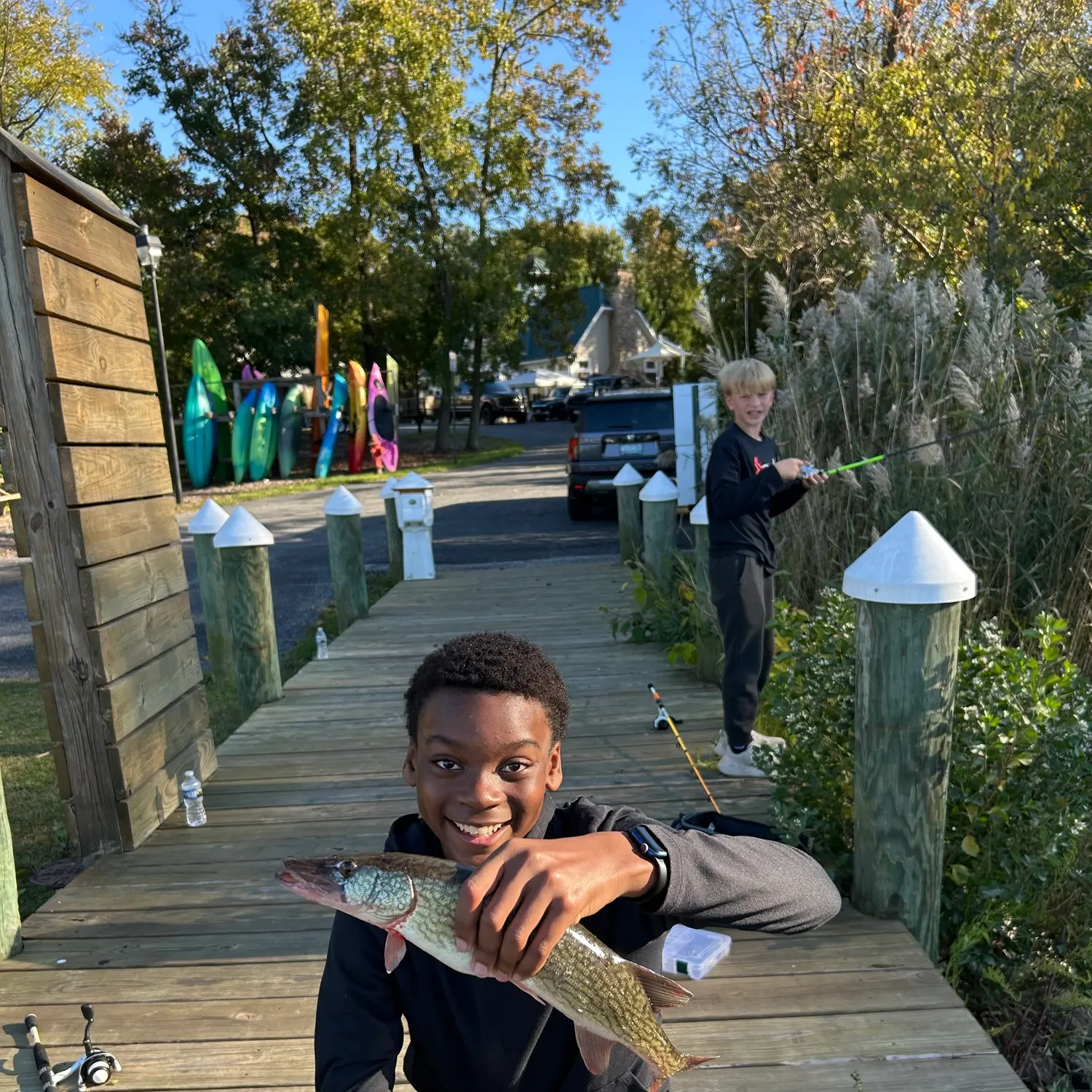 Chain pickerel caught on Fishbrain