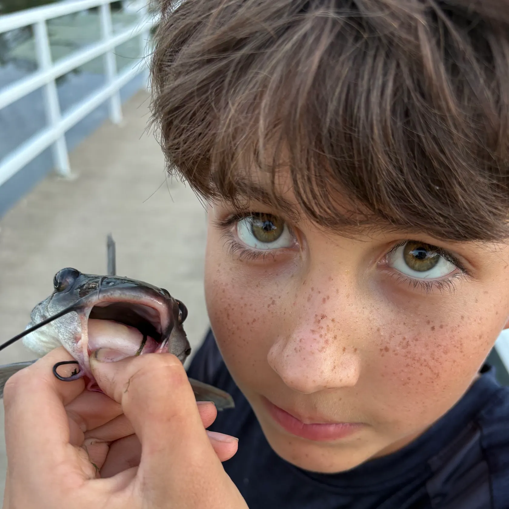 Fish caught on Fishbrain