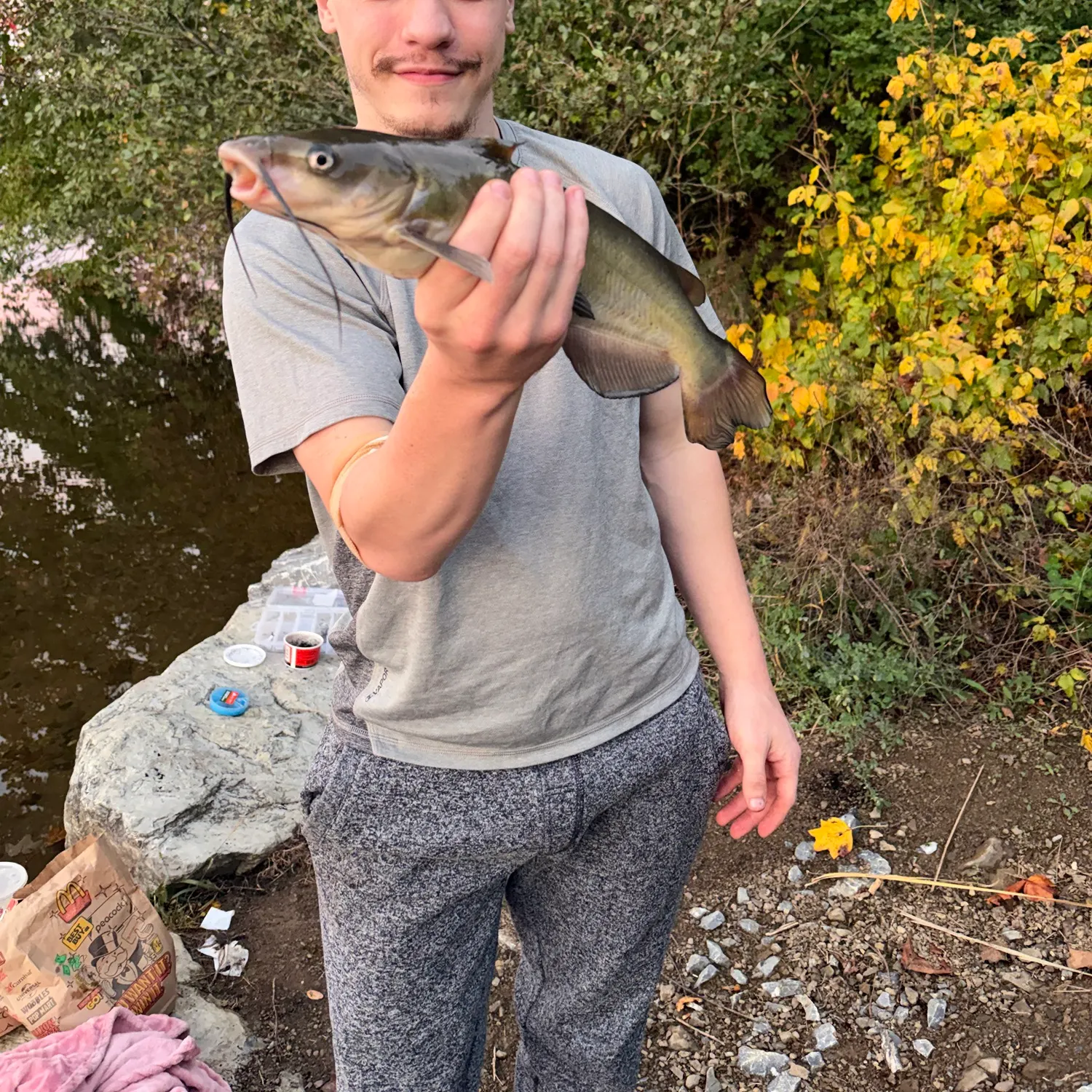Fish caught on Fishbrain