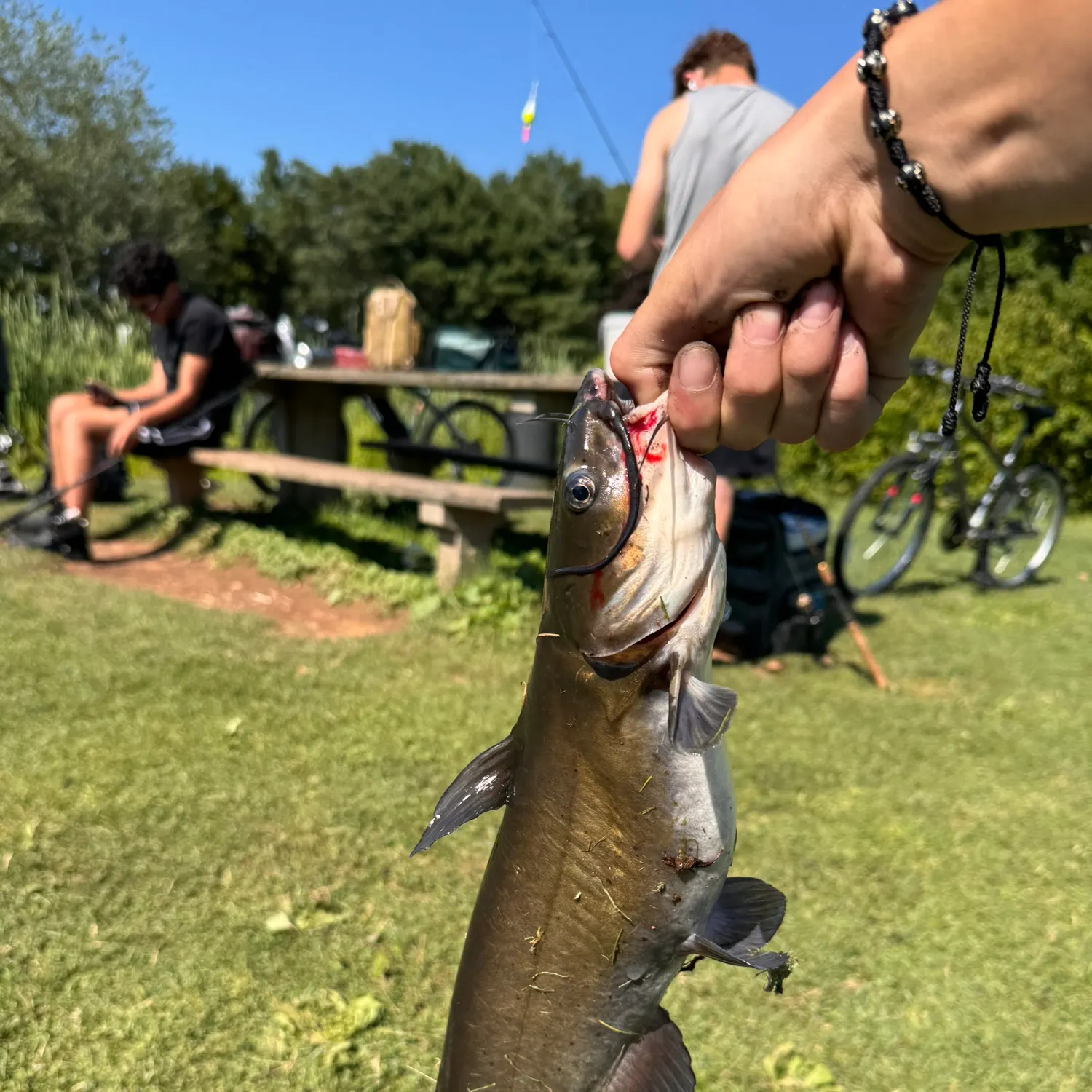 catch