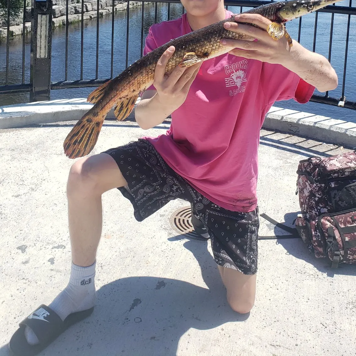 catch