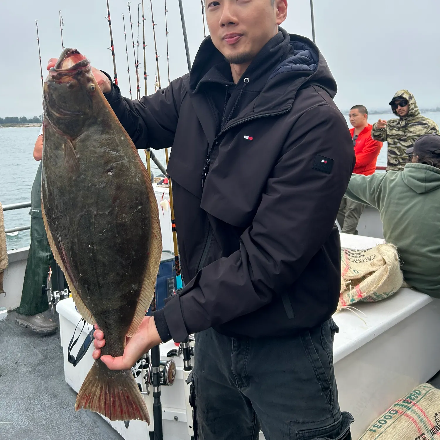 The most recent Pacific halibut catches on Fishbrain