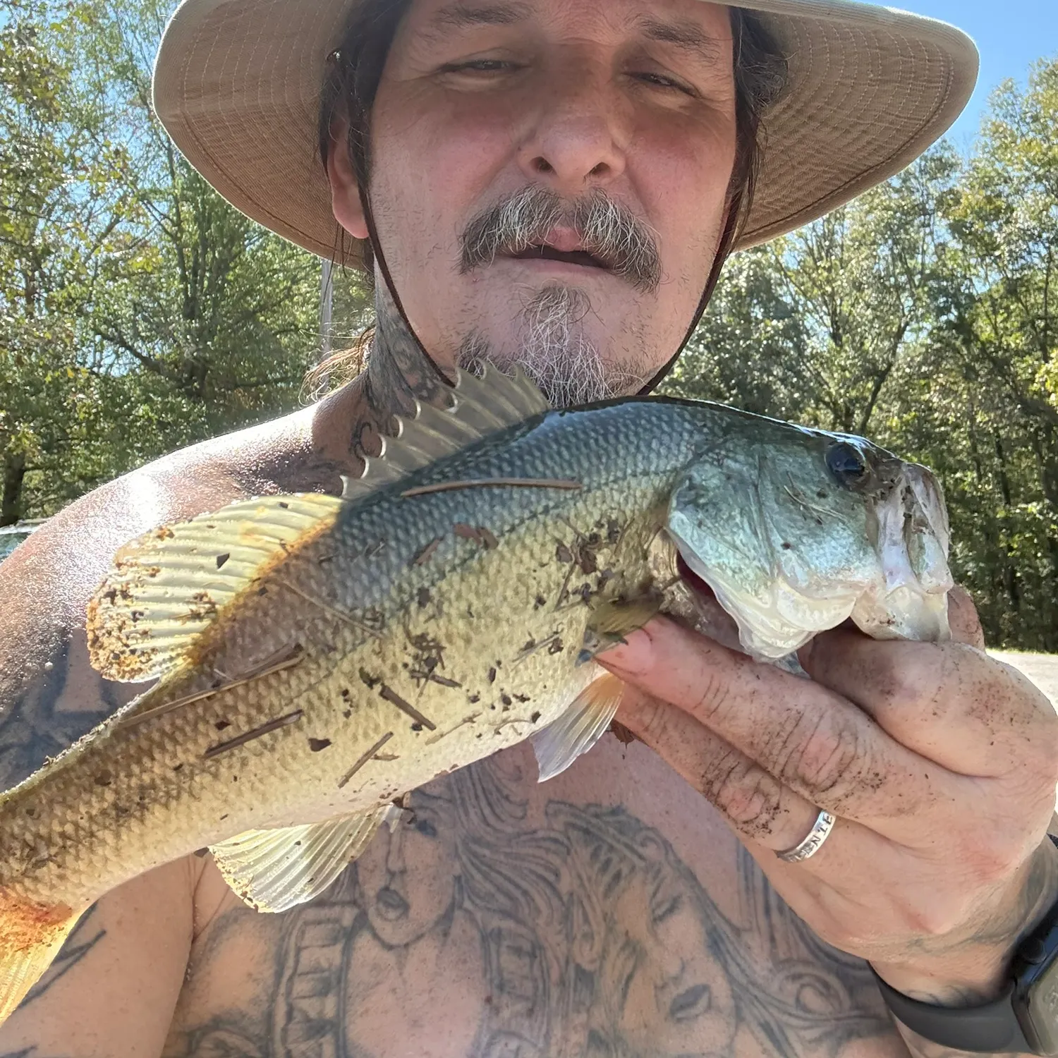 Largemouth bass caught on Fishbrain