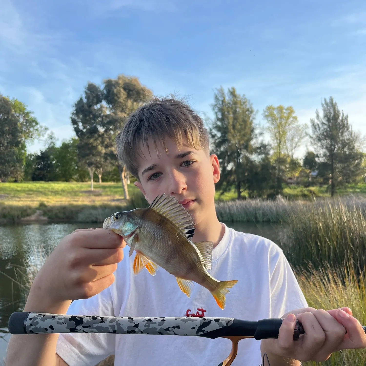 European perch caught on Fishbrain