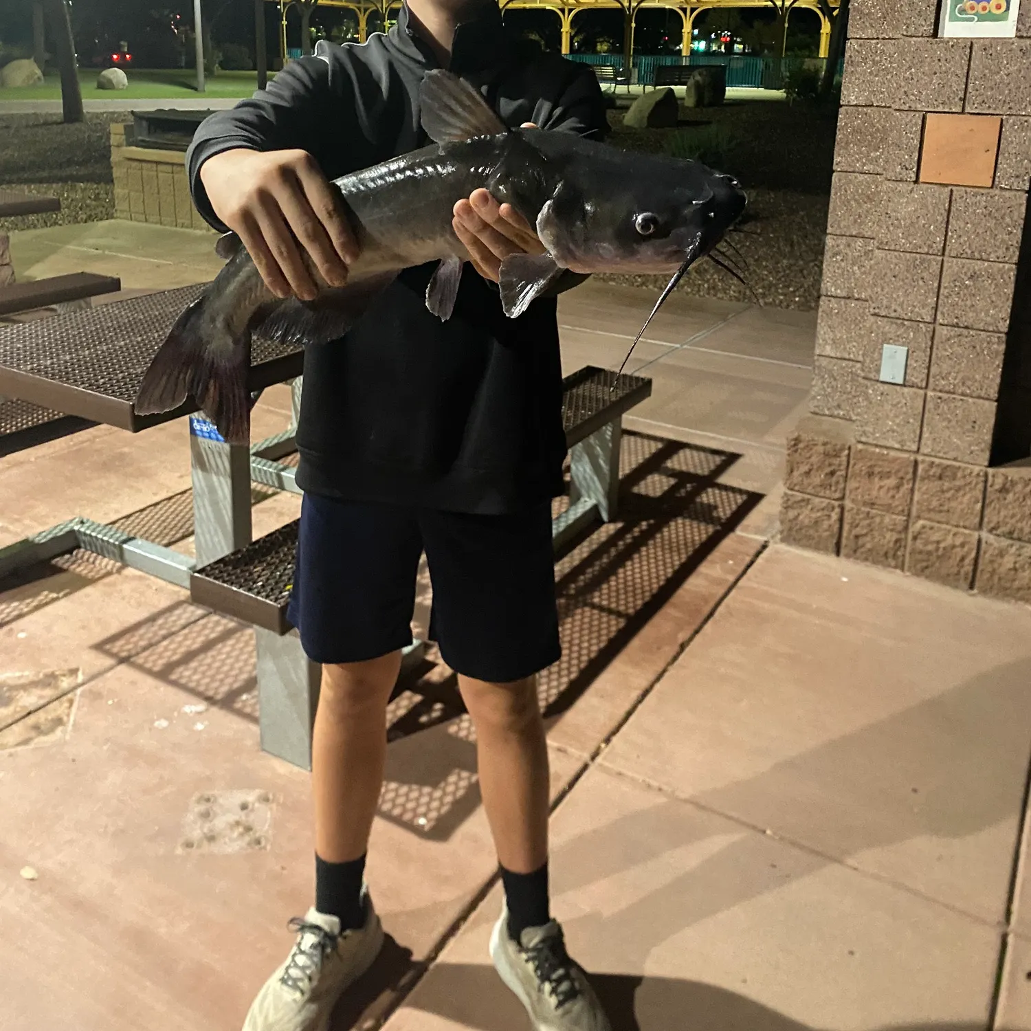 Channel catfish caught on Fishbrain