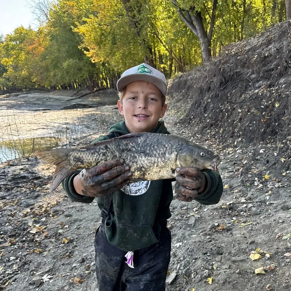 The most recent Black buffalo catches on Fishbrain