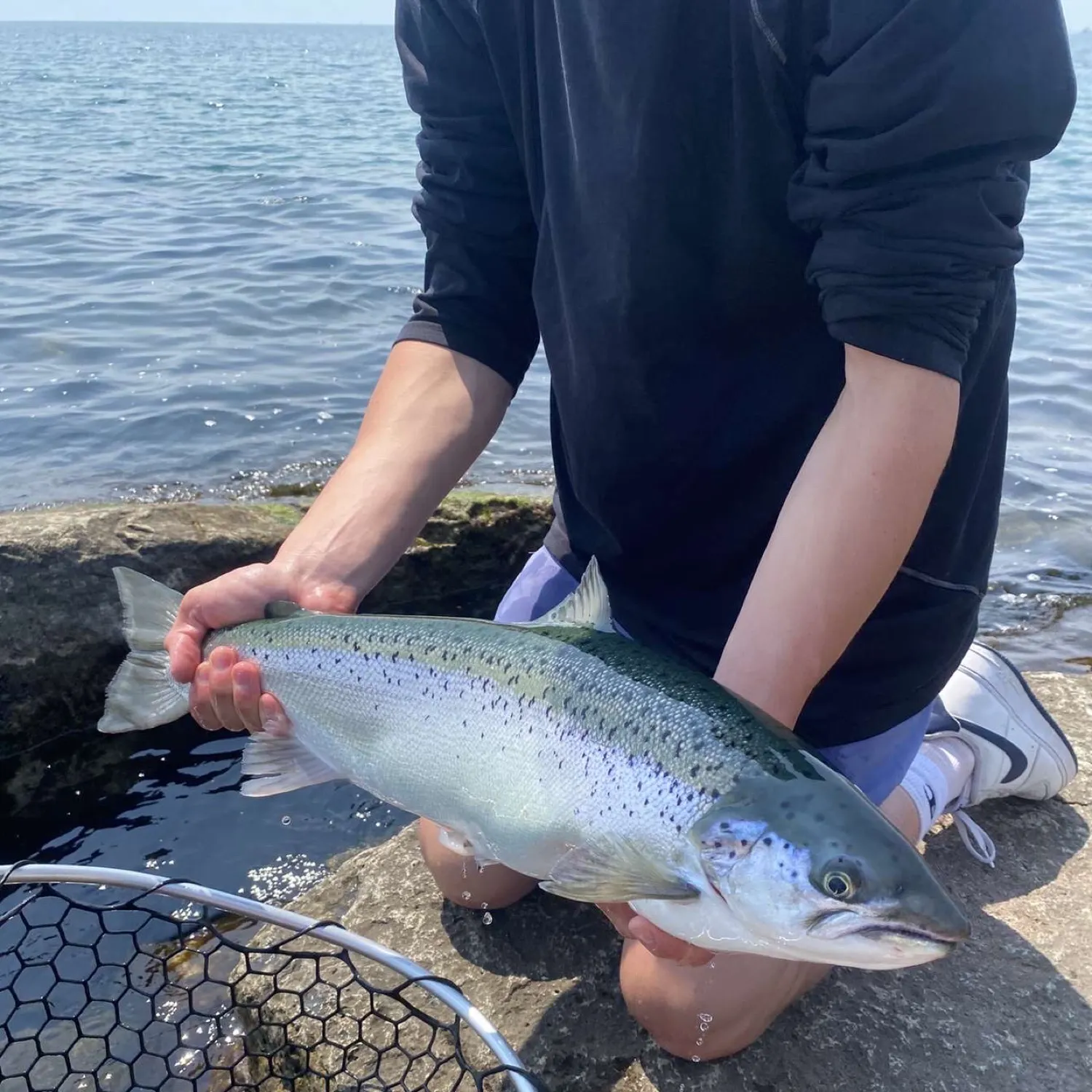 The most recent Atlantic salmon catches on Fishbrain