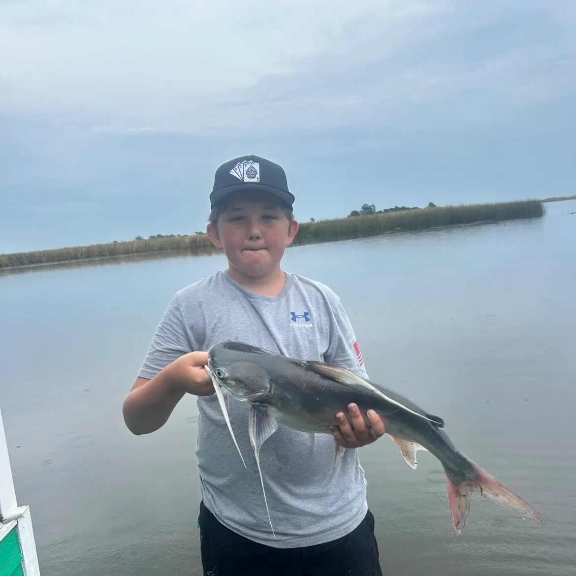 The most recent Coco sea catfish catches on Fishbrain