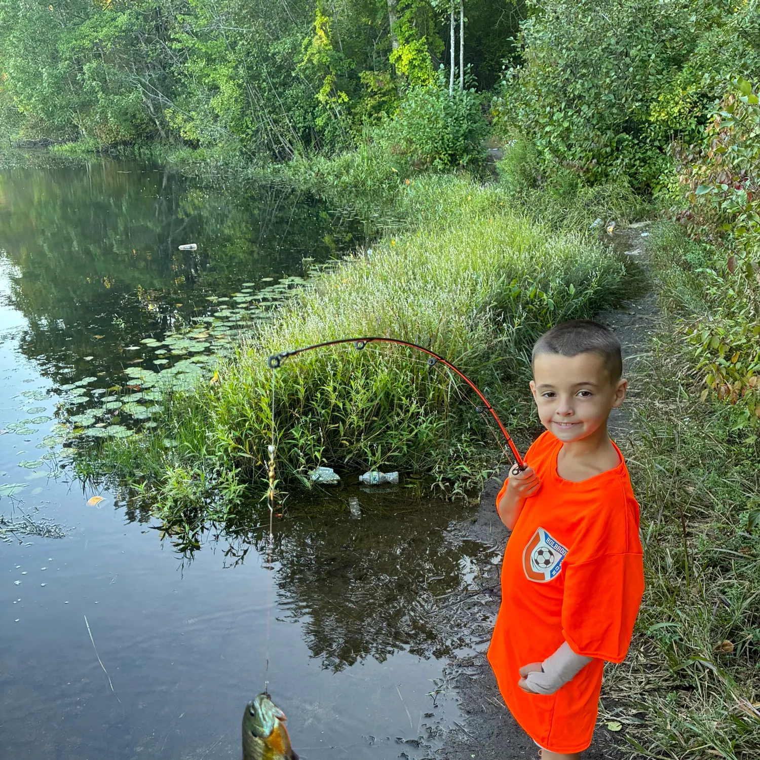 Bluegill caught on Fishbrain