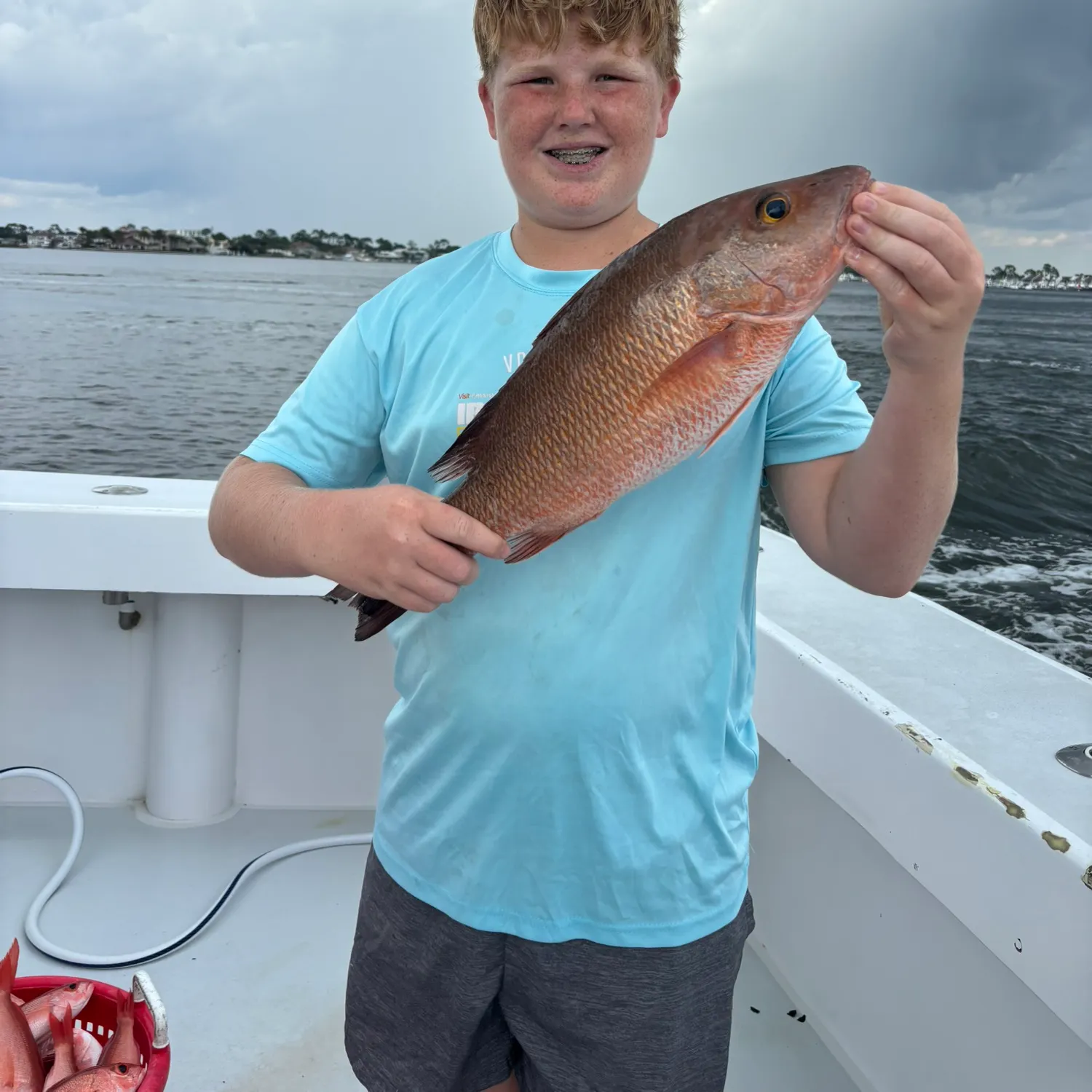 The most recent Mangrove snapper catches on Fishbrain