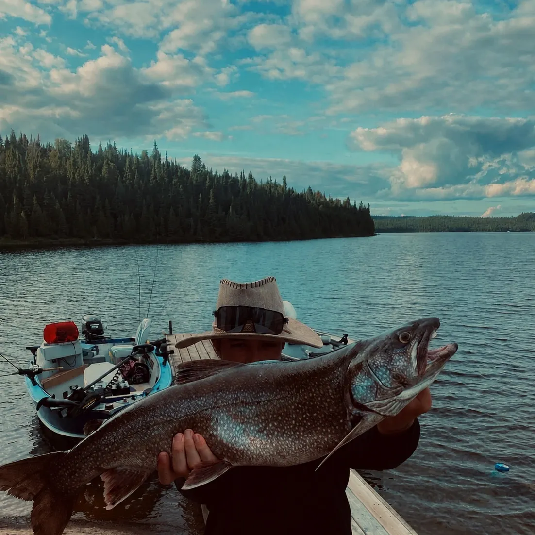Brook trout caught on Fishbrain