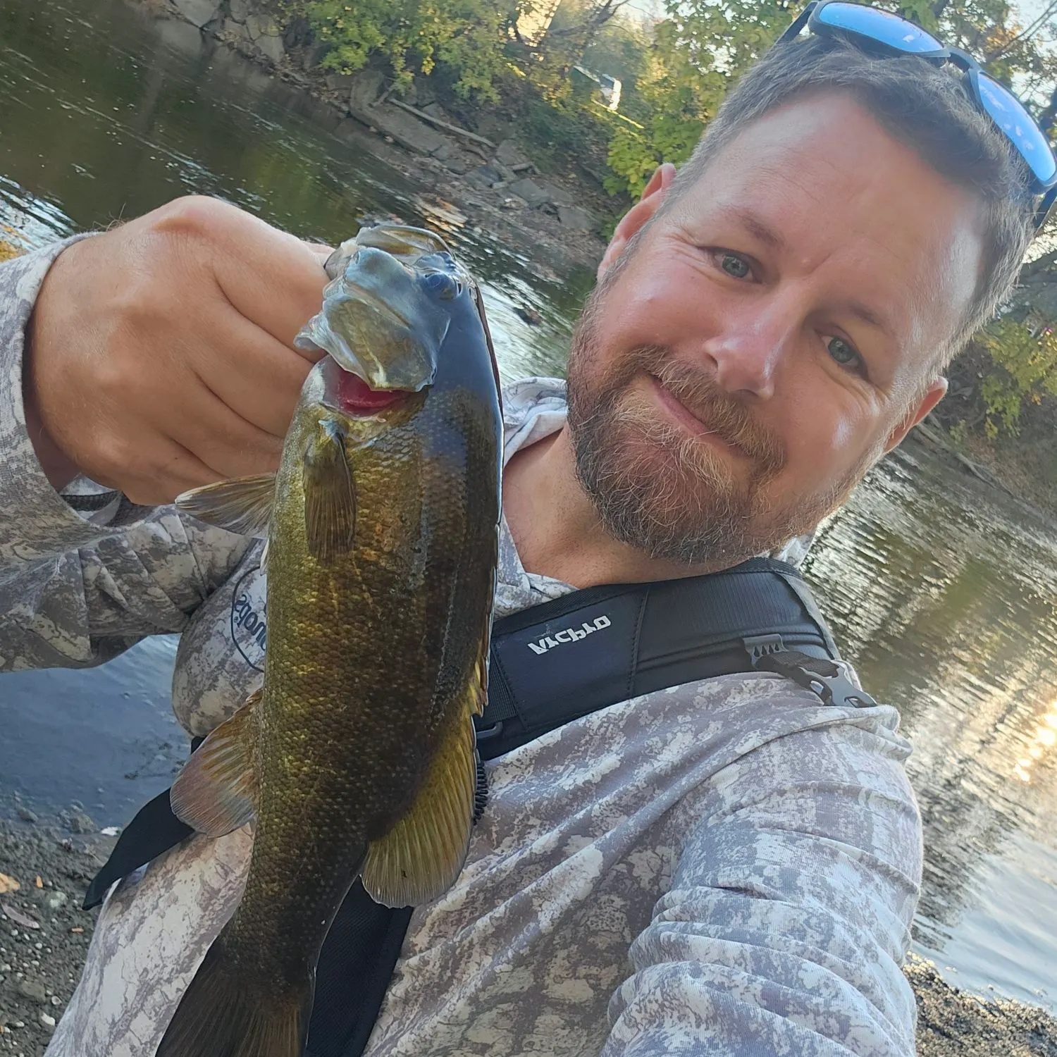 Smallmouth bass caught on Fishbrain