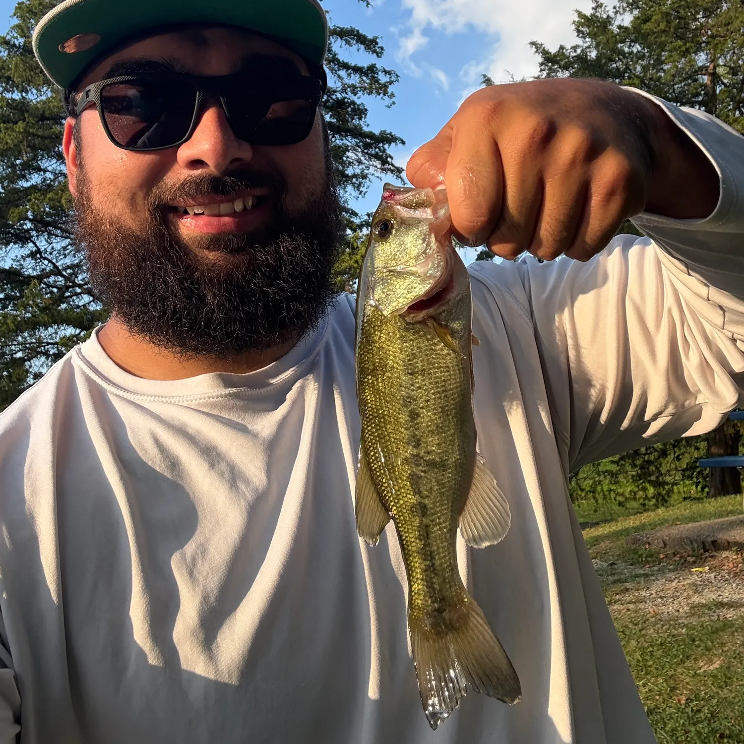 Largemouth bass caught on Fishbrain
