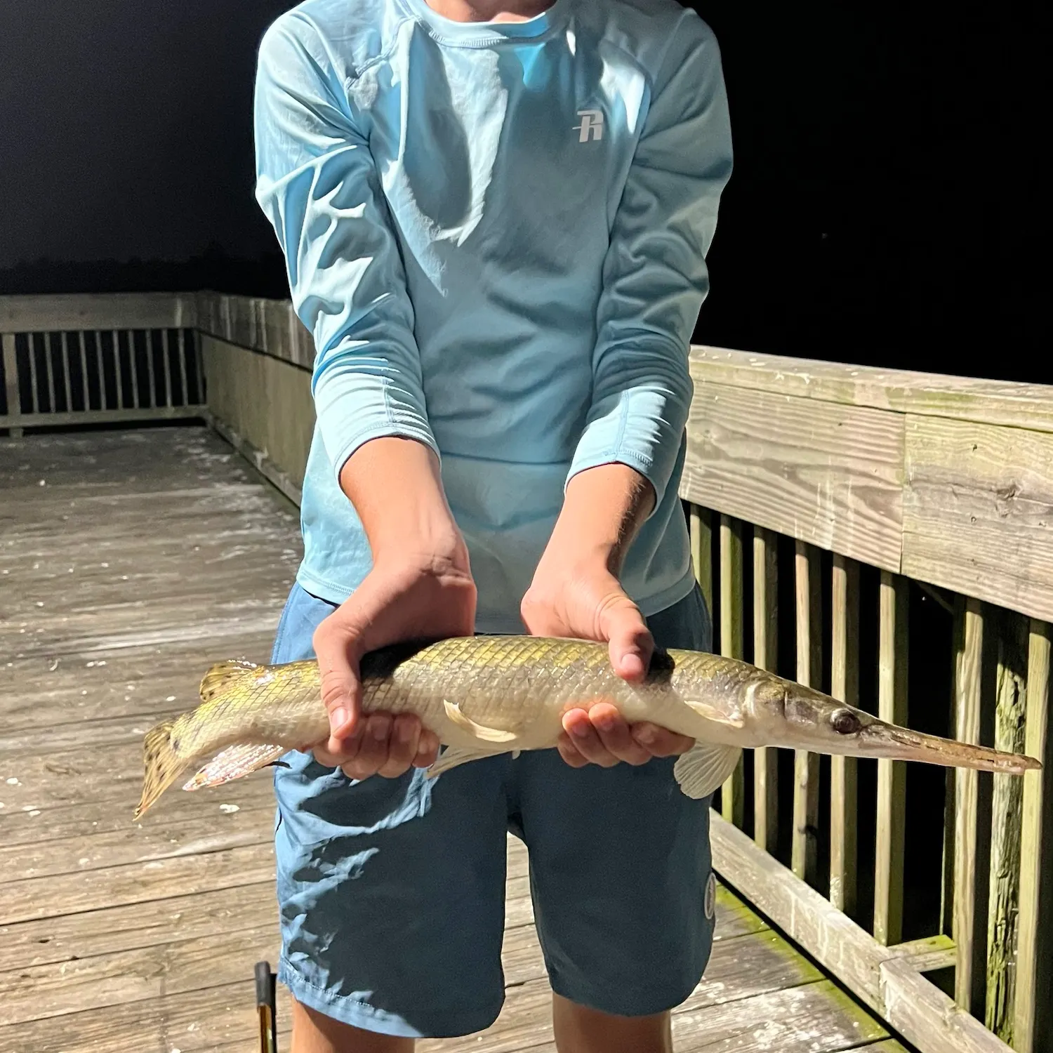 Shortnose gar caught on Fishbrain