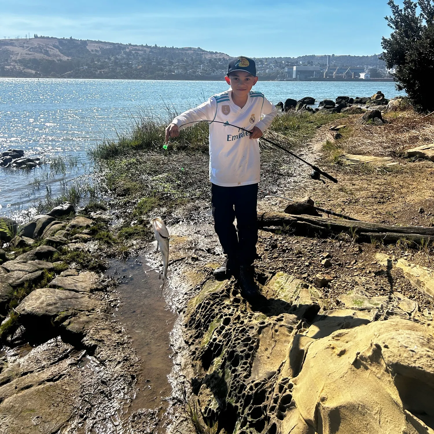 Striped bass caught on Fishbrain