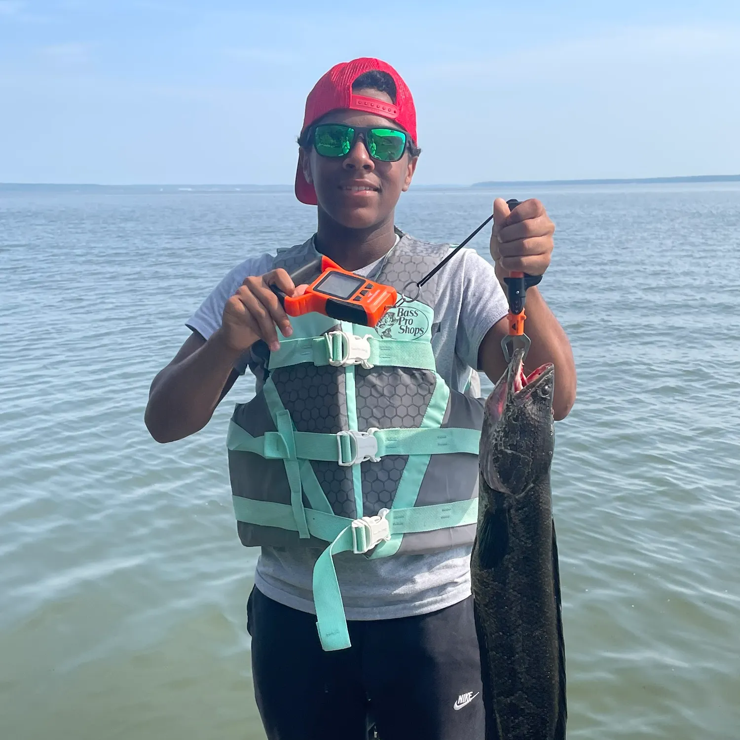 The most recent Northern snakehead catches on Fishbrain