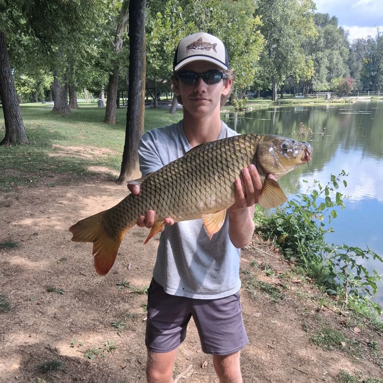 Common carp caught on Fishbrain