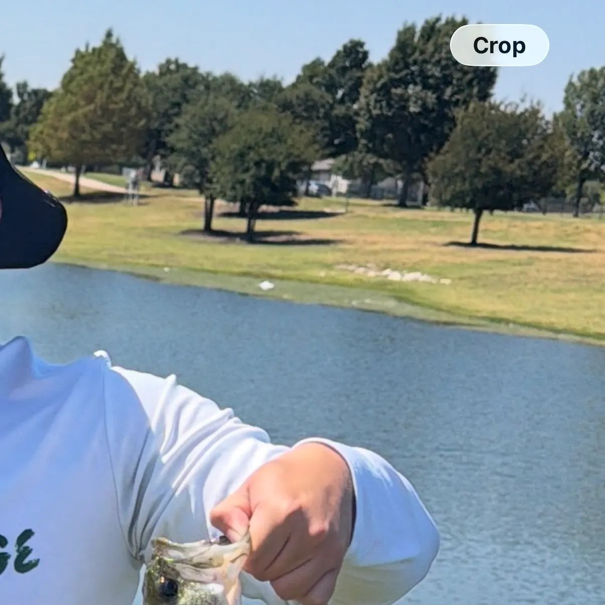 Fish caught on Fishbrain