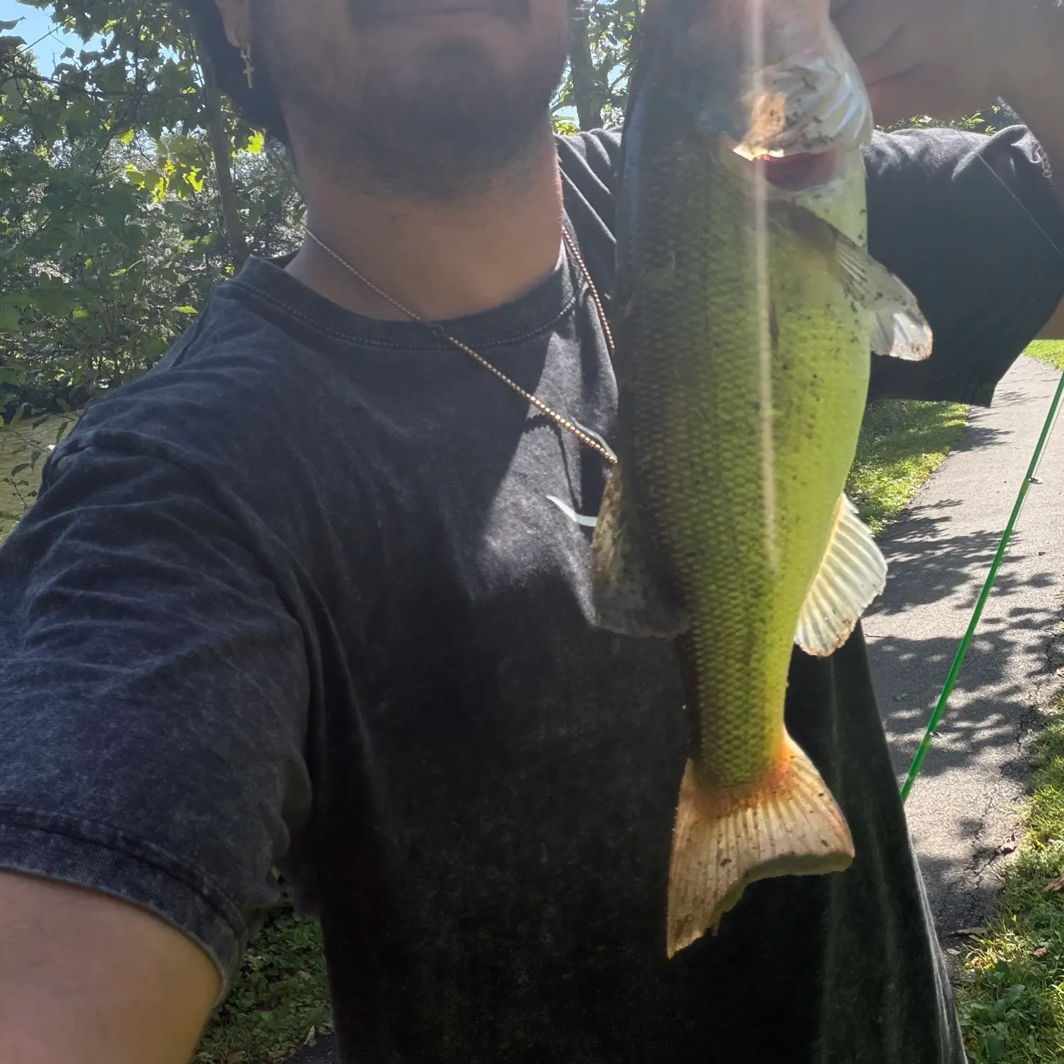 Largemouth bass caught on Fishbrain