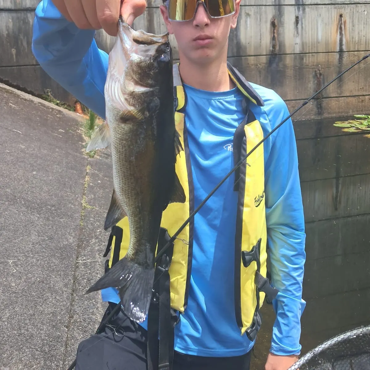 Largemouth bass caught on Fishbrain