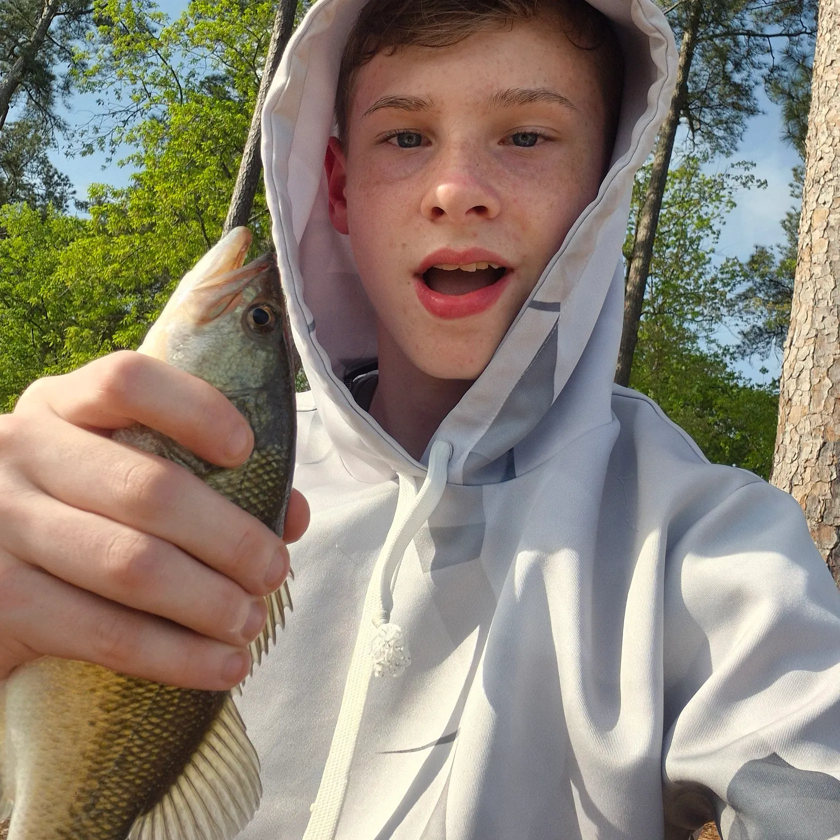 The most recent Brook trout catches on Fishbrain
