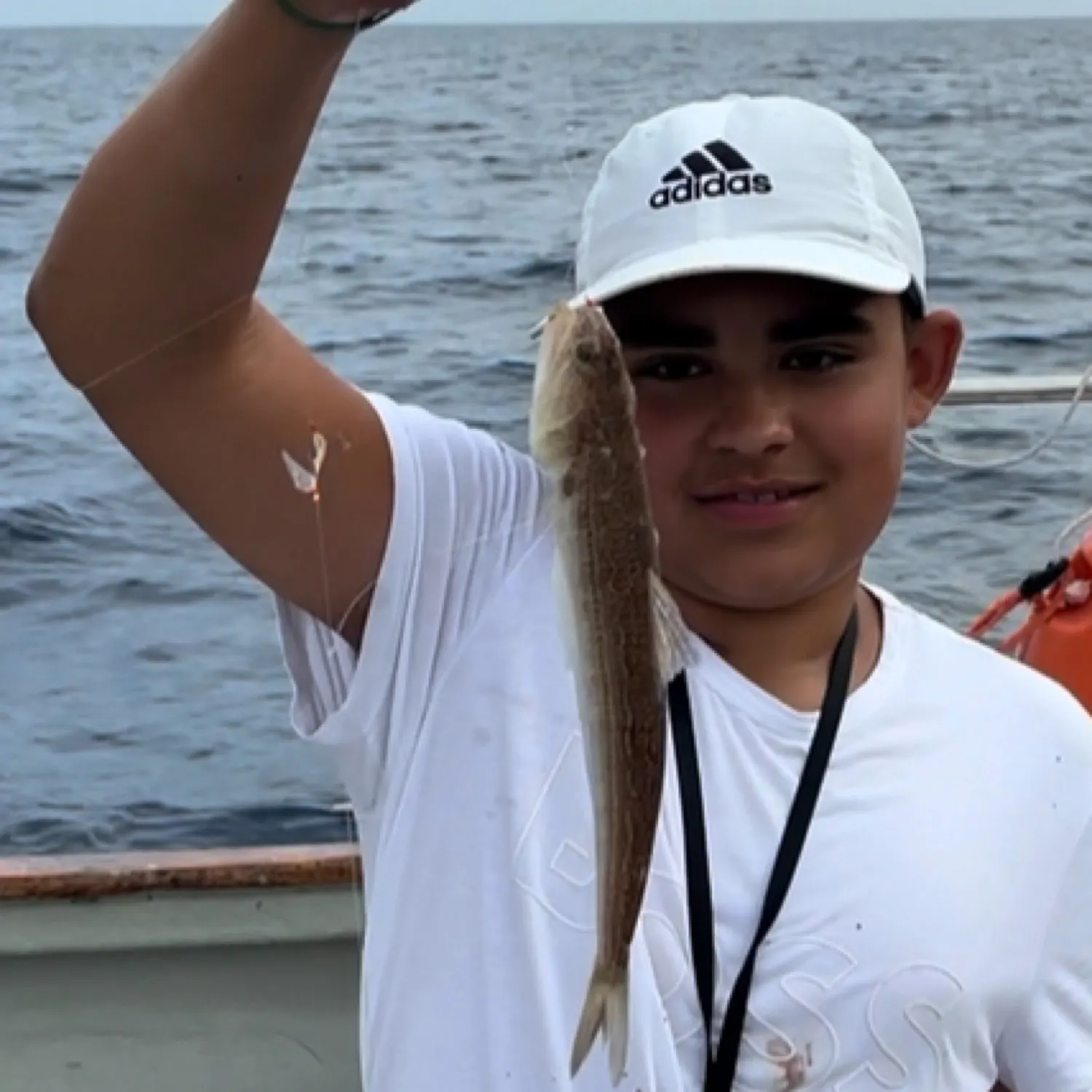 The most recent Atlantic lizardfish catches on Fishbrain