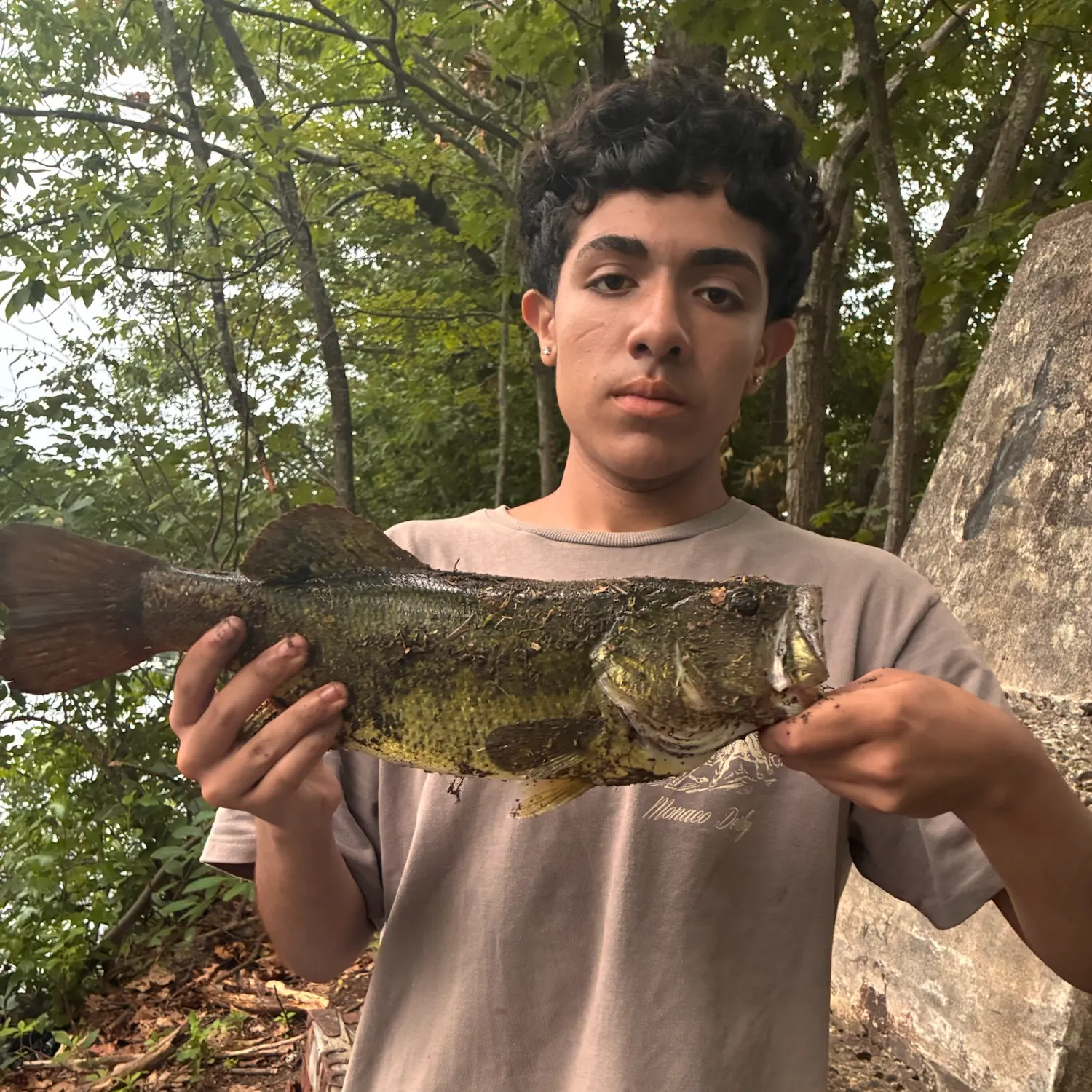 Largemouth bass caught on Fishbrain