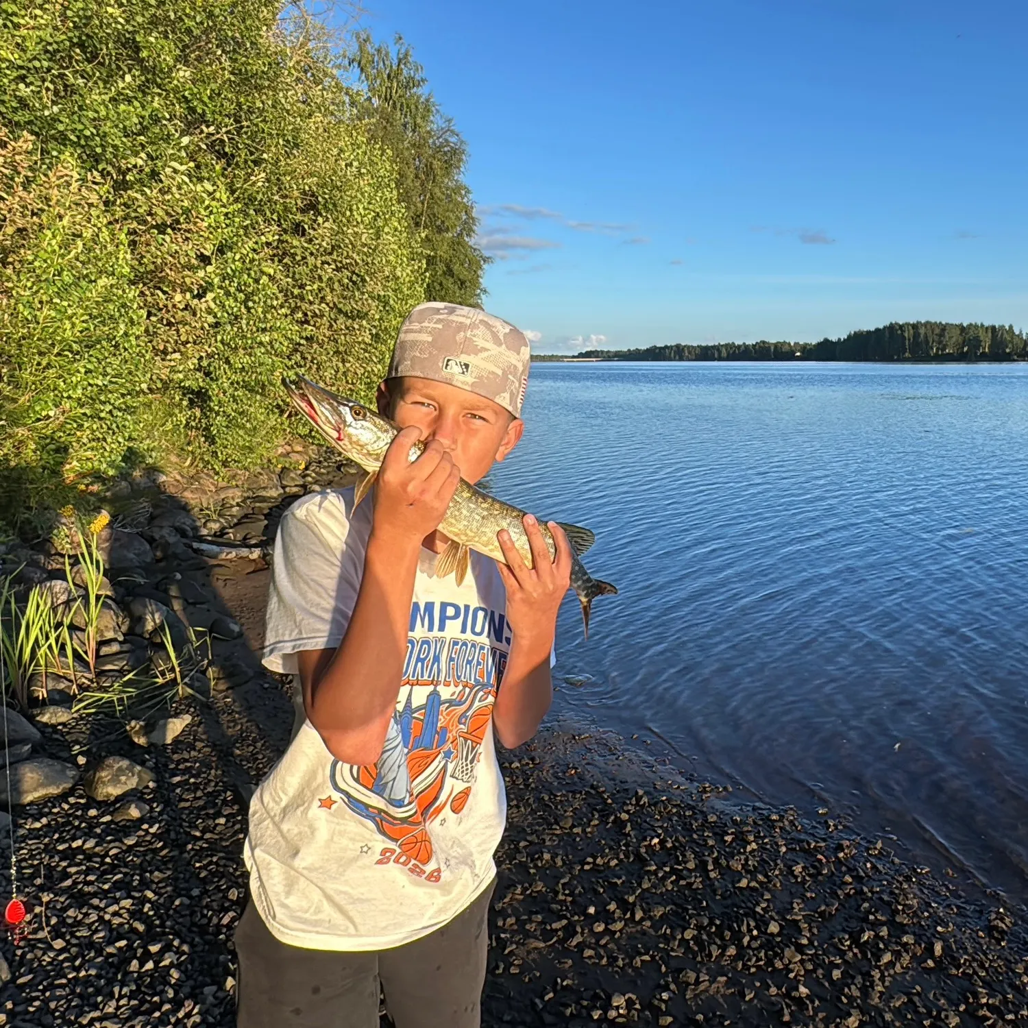 Northern pike caught on Fishbrain