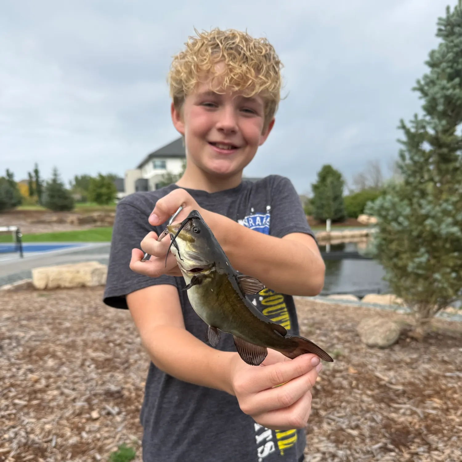 Yellow bullhead caught on Fishbrain