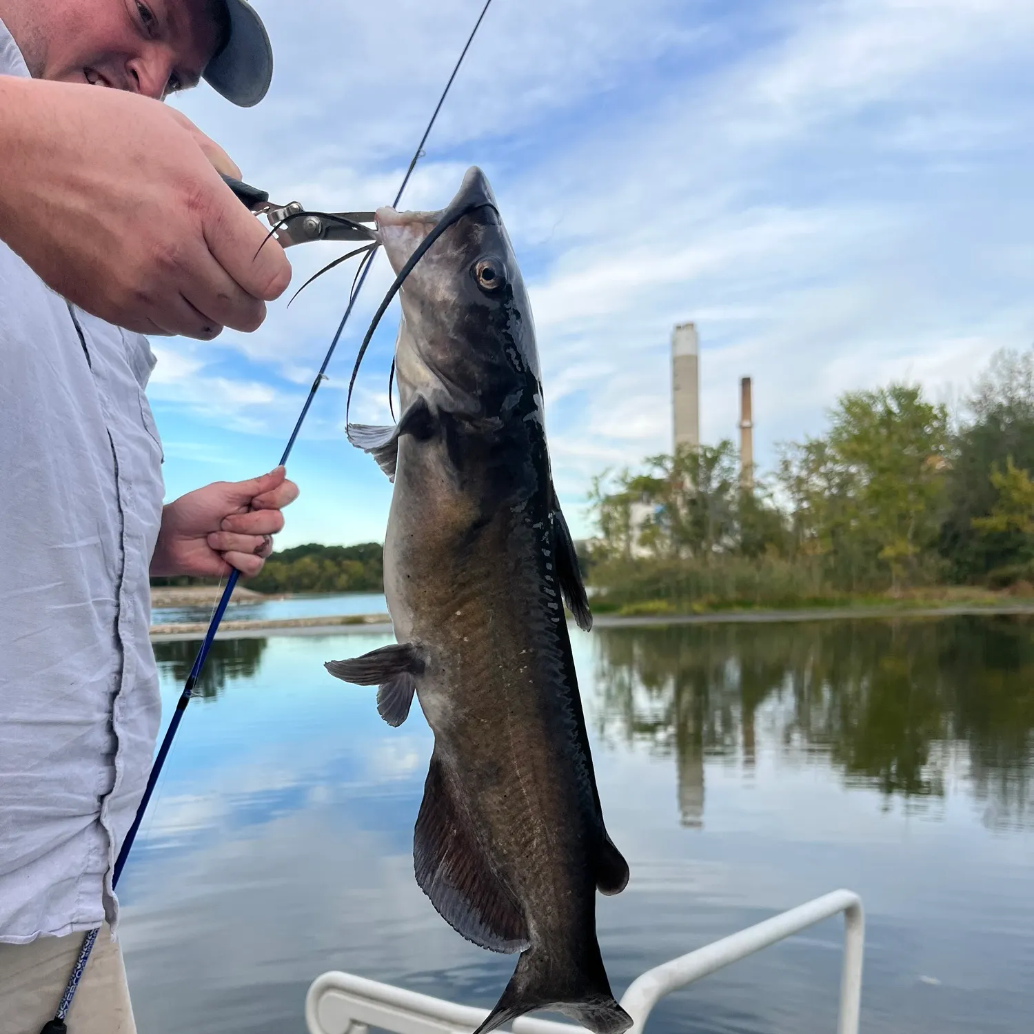 Channel catfish caught on Fishbrain