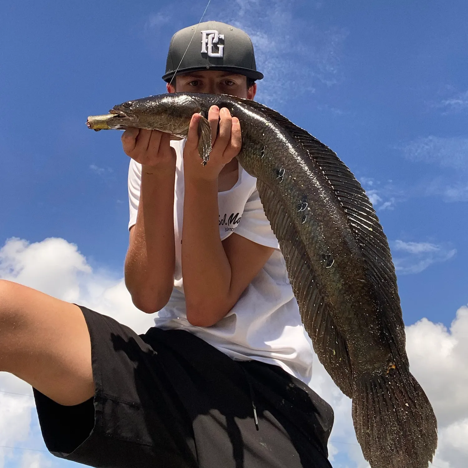 The most recent Bullseye snakehead catches on Fishbrain