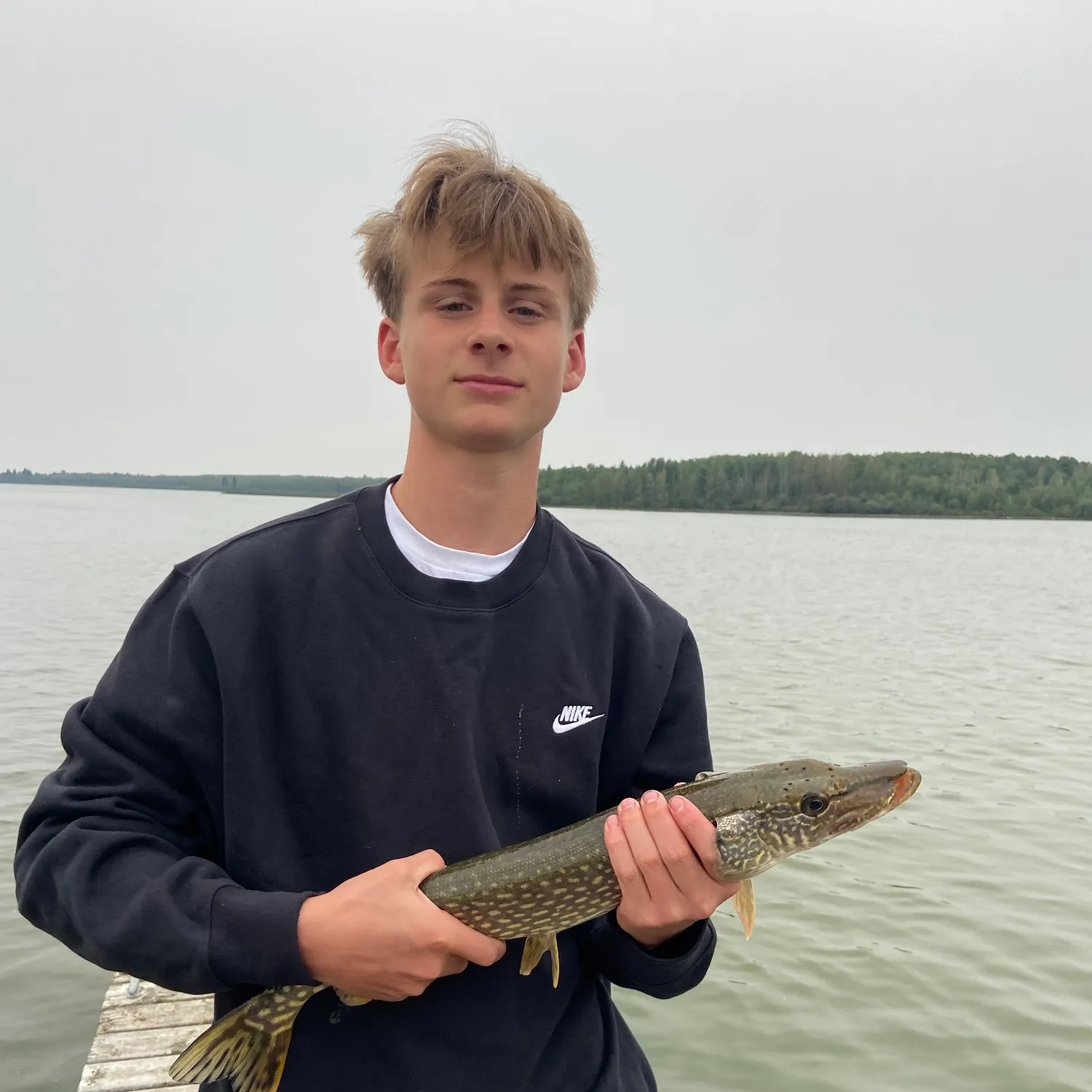 Northern pike caught on Fishbrain