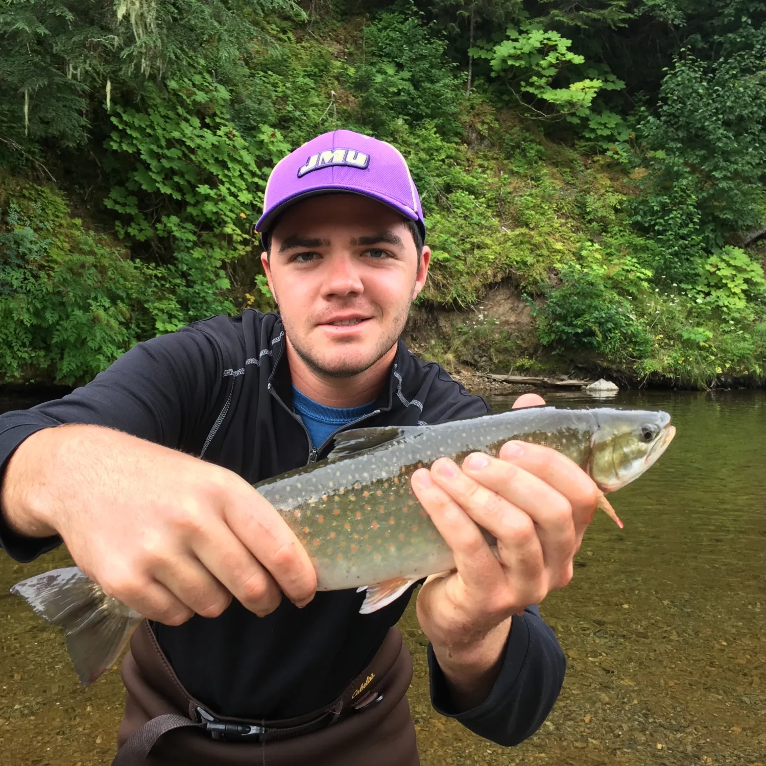 The most recent Dolly varden catches on Fishbrain