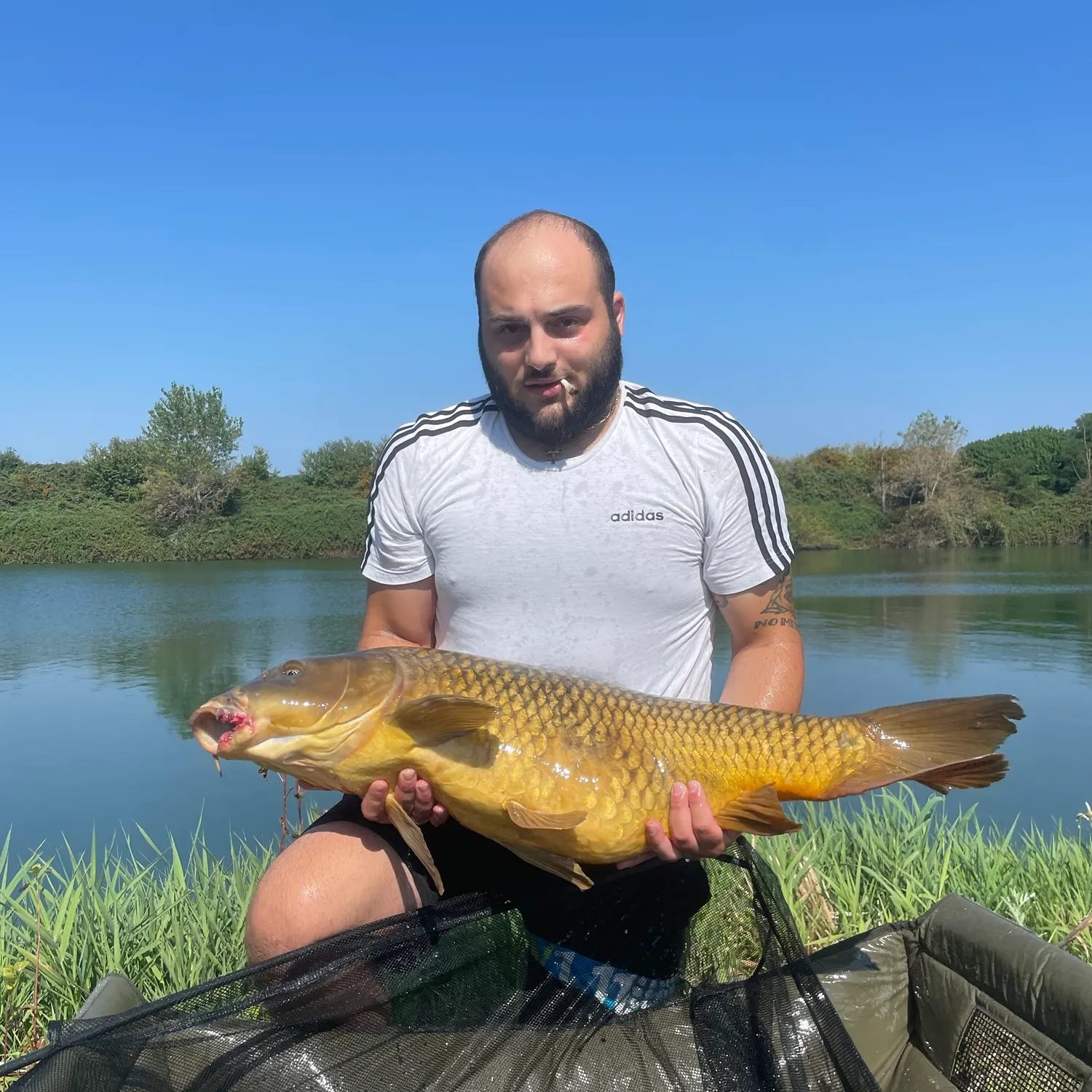 Common carp caught on Fishbrain