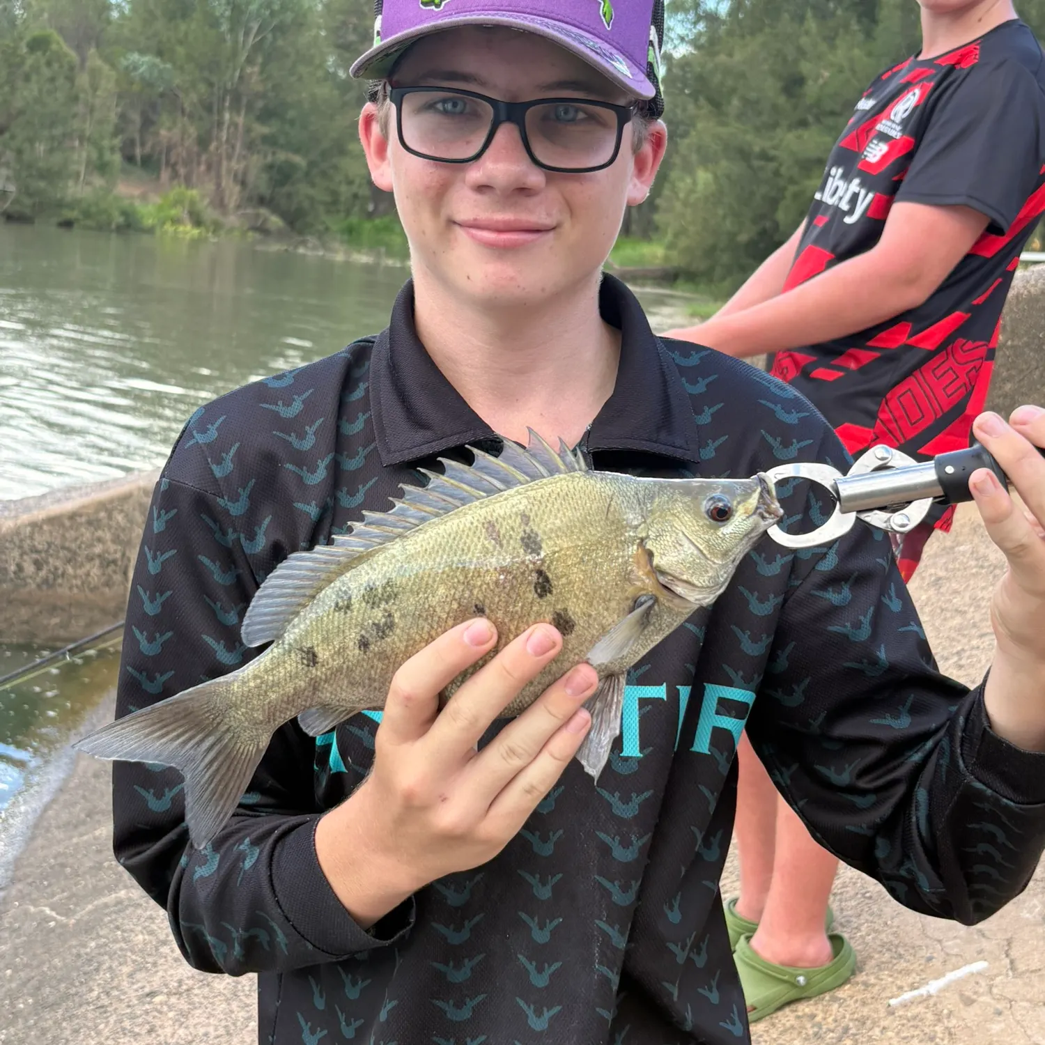 The most recent Barcoo grunter catches on Fishbrain