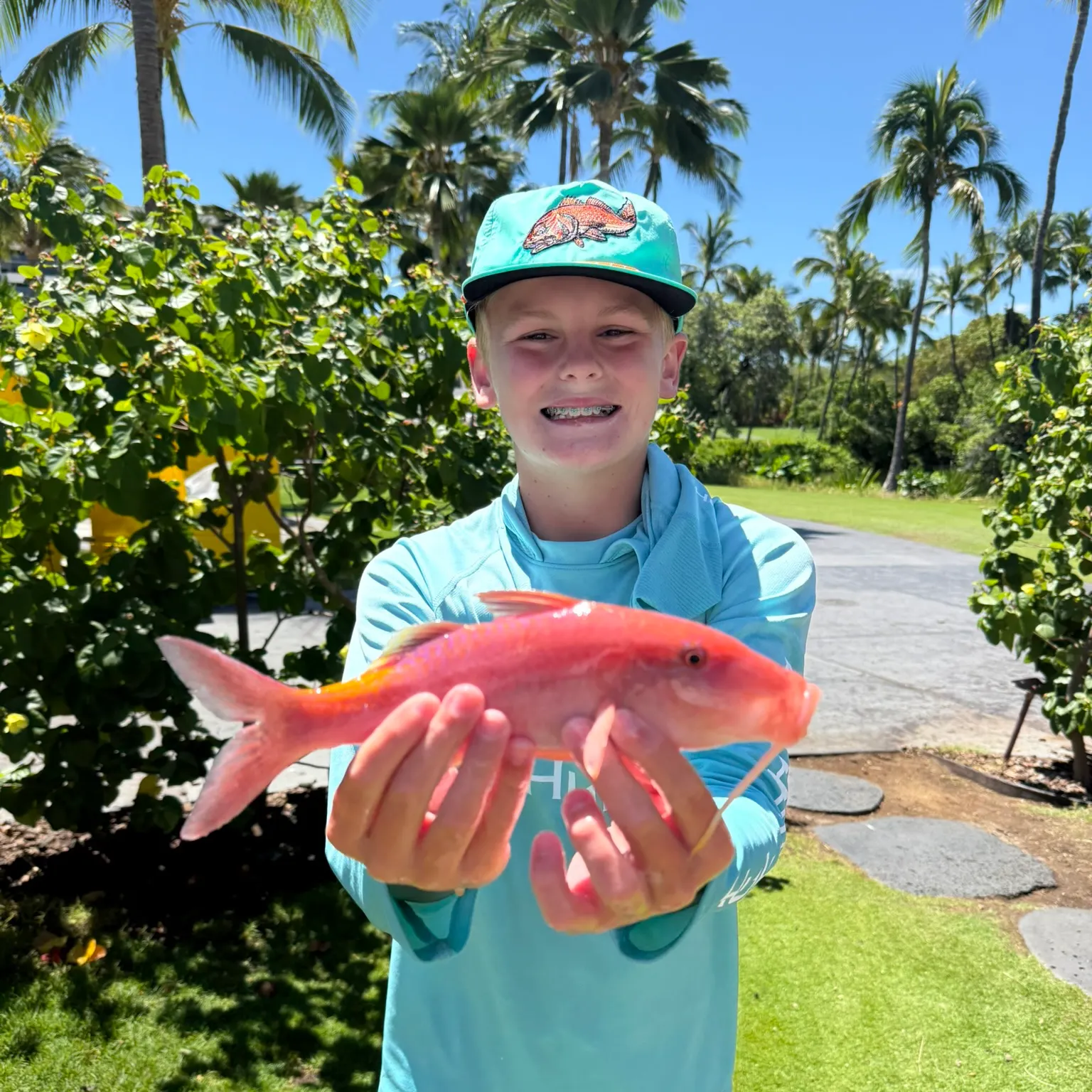 The most recent Northern red snapper catches on Fishbrain