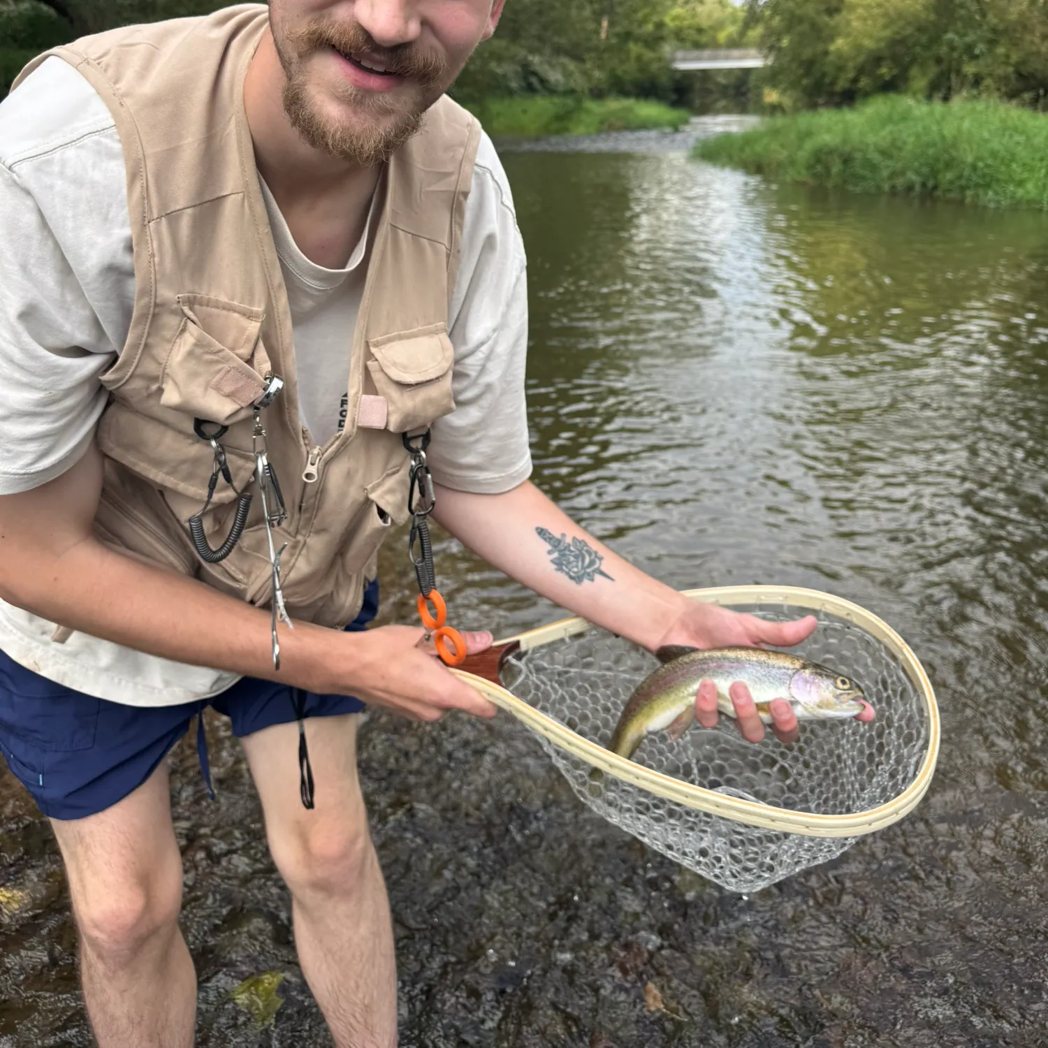 Rainbow trout caught on Fishbrain